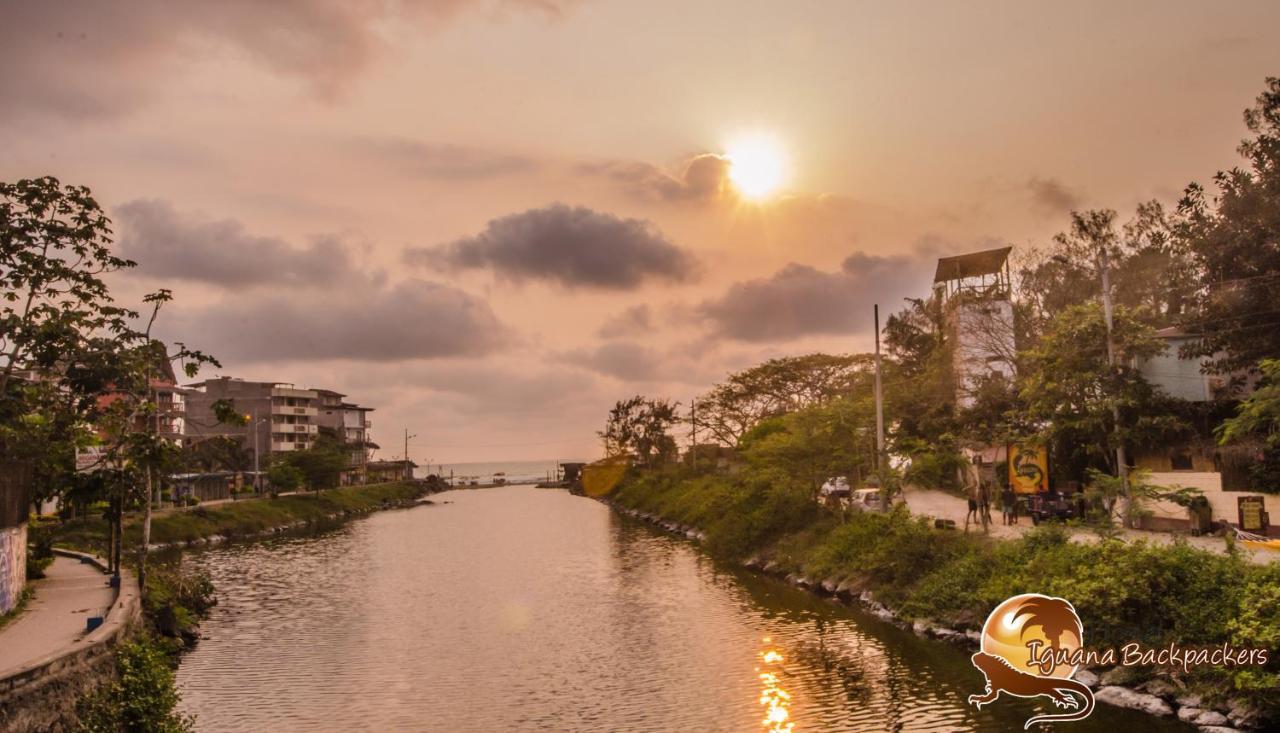 Iguana Beach House Hostel Montanita Ngoại thất bức ảnh