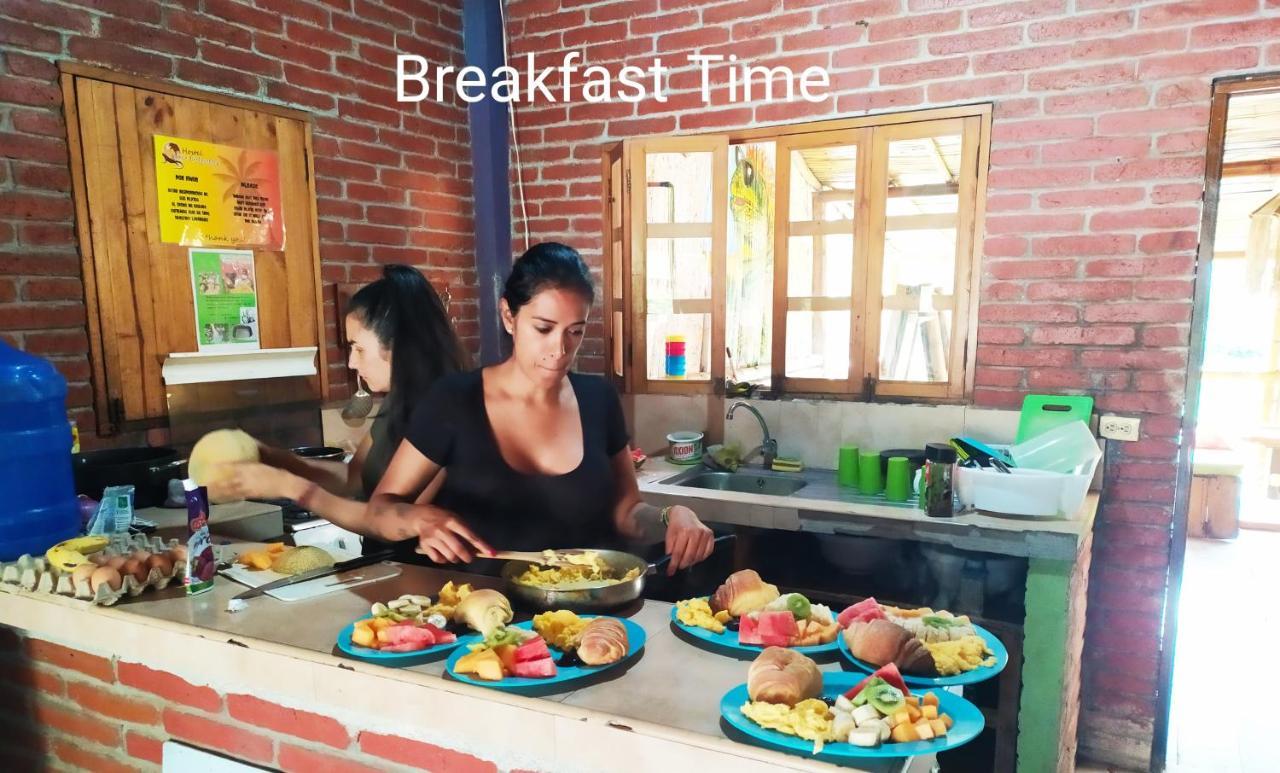 Iguana Beach House Hostel Montanita Ngoại thất bức ảnh